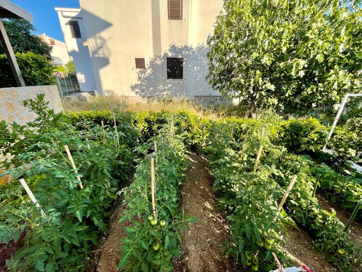 Apartments Sime Sibenik Exterior photo